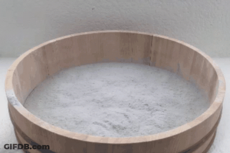 Gray Chinchilla Stuck In Round Bowl With Flour GIF