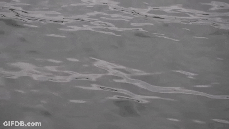 Gray Color Moving Water GIF