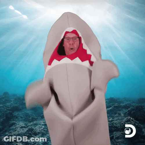 Gray Dancing Shark Mascot GIF
