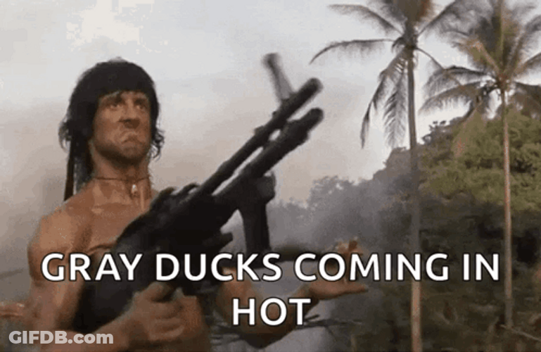 Gray Ducks Coming In Rambo Machine Gun GIF