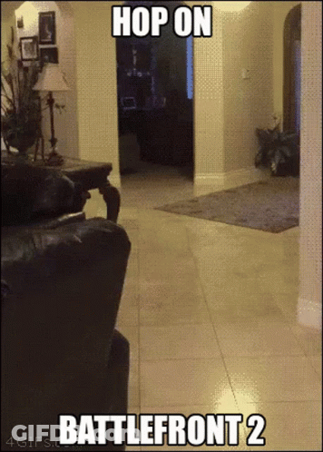 Gray Hair Man Smiling Says Yeah I Play Battlefront II How Did You Know GIF