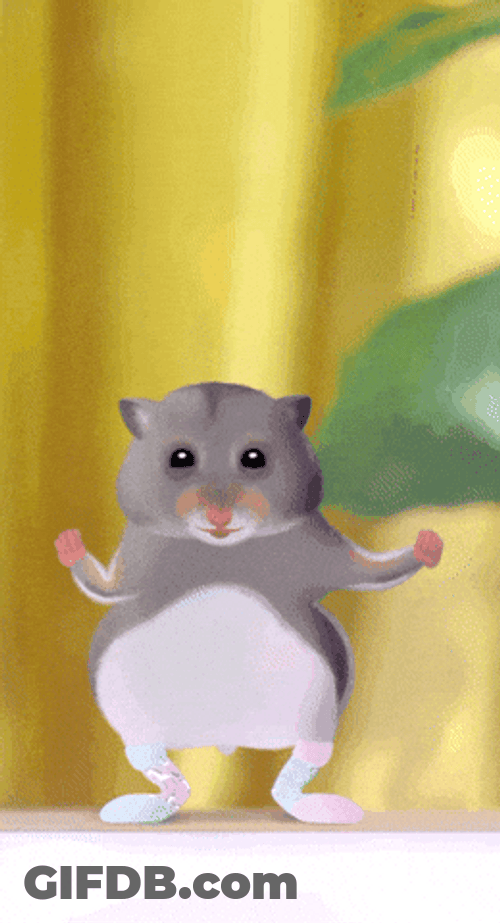 Gray Hamster Dance Body Arm Shake GIF