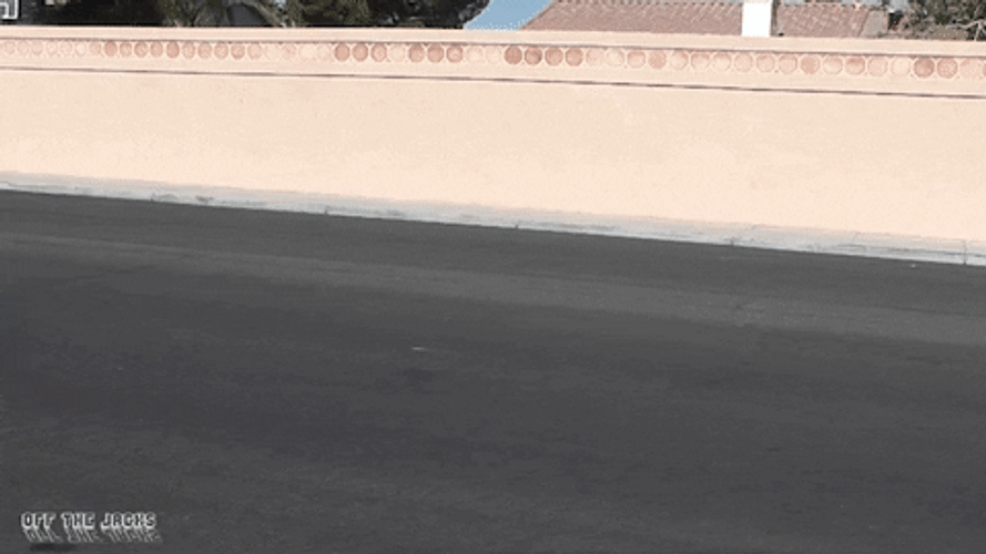 Gray Lowrider Cruising GIF