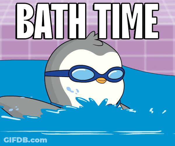 Gray Penguin Bath Time Paddles Pool GIF