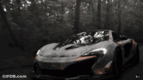 Gray Sports Car Driving Through Woods GIF