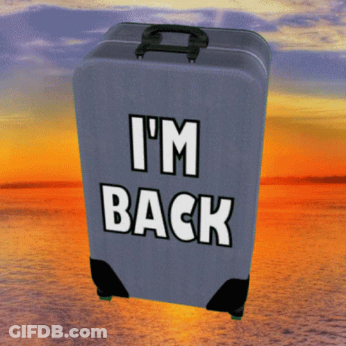Gray Suitcase Saying I'm Back On It GIF