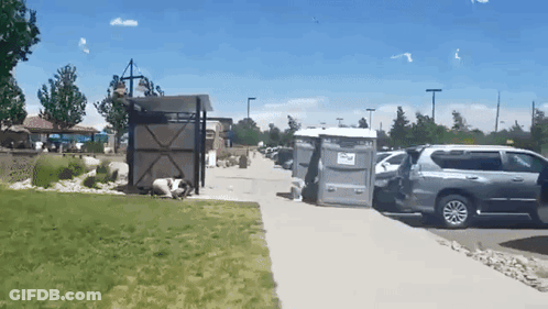 Gray SUV Parked Next To Gray Portable Toilet GIF