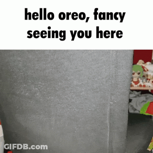 Gray Wall With Hello Oreo GIF