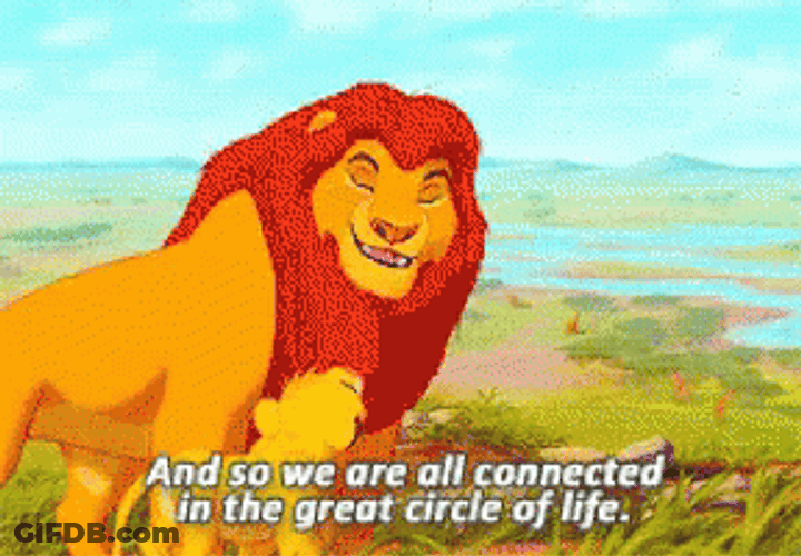 Great Circle Of Life GIF