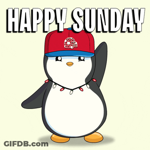 Great Cute Sunday Penguins GIF