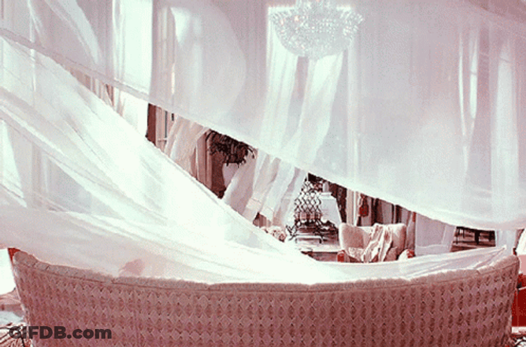 Great Gatsby GIF