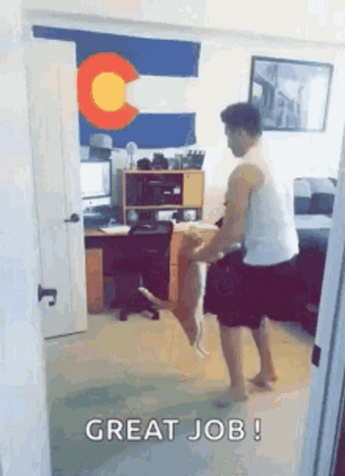 Great Job Cat & Man GIF