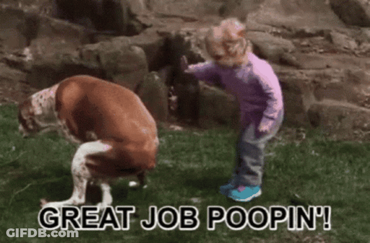 Great Job Dog Pooping GIF