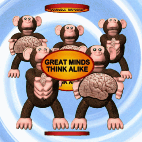 Great Minds Think Alike Brainy Monkeys GIF