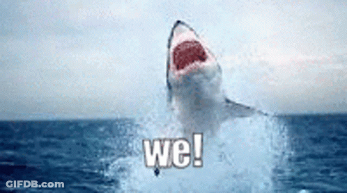 Great White Shark Jumping Out Ocean GIF