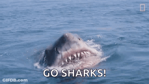 Great White Shark Swimming With Go Sharks GIF