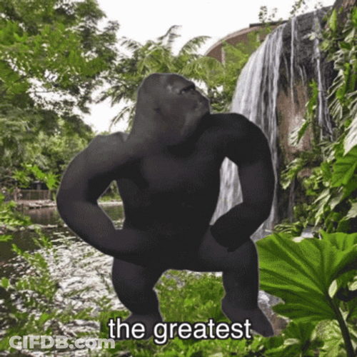 Greatest And Bravest Gorilla Dancing GIF
