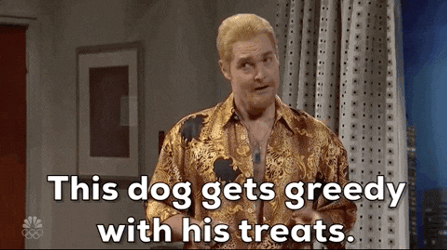 Greedy Boy Dog Gets Greedy With His Treats GIF