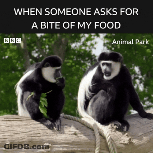 Greedy Monkey When Someone Asks For Food GIF