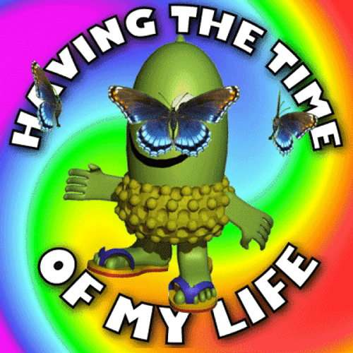 Green Acorn Time Of My Life GIF