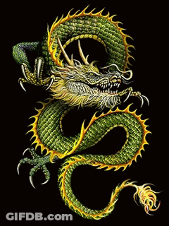 Green And Gold Dragon GIF