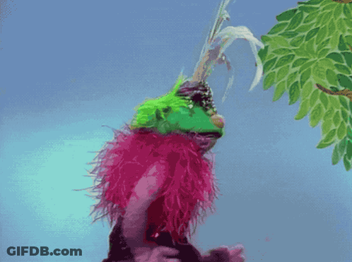 Green And Pink Feathered Puppet GIF