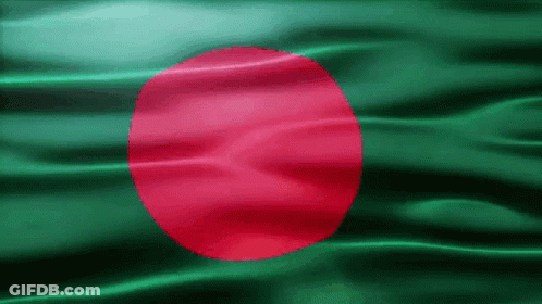 Green And Red Flag With Red Circle GIF