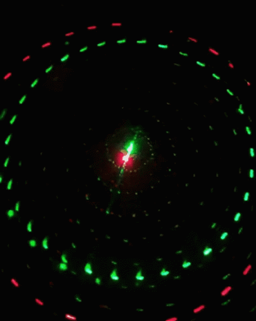 Green And Red Floral Patterns GIF