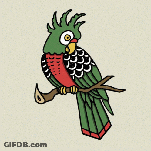Green And Red Parrot Perched On Tree Branch GIF
