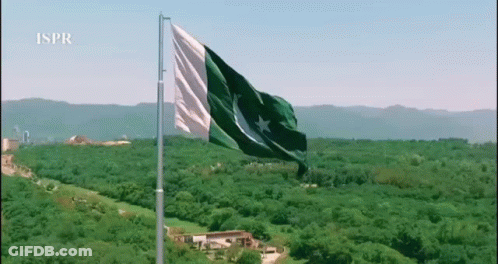 Green And White Flag Flying Over Green Forest GIF