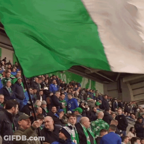 Green And White Flag Waved In Crowd GIF
