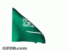 Green And White Flag With Arabic Writing Waving GIF