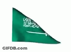 Green And White Flag With Arabic Writing Waving GIF