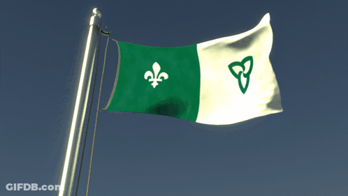 Green And White Flag With Celtic Symbol GIF