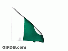 Green And White Flag With Crescent Moon And Star GIF