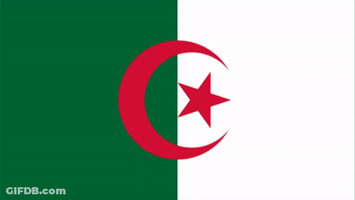 Green And White Flag With Red Crescent And Star GIF