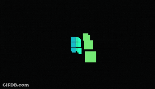 Green And White Nin Logo GIF