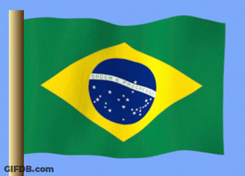 Green And Yellow Ordem & Progress Flag GIF
