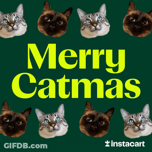 Green Background With Cats And Merry Catmas In Yellow GIF