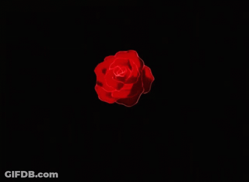 Green Background With Few Lines GIF