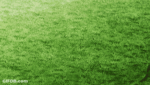 Green Background With Leaves GIF