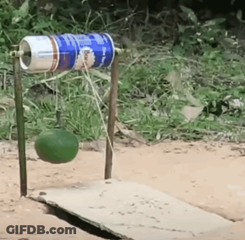 Green Ball Hanging From Can On Wooden Board GIF