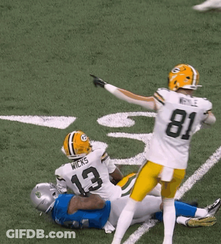 Green Bay Packers Flag Hanging From House GIF