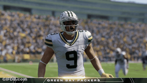 Green Bay Packers Football Player GIF