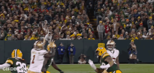 Green Bay Packers Player Catching Pass In Front Of Crowd GIF