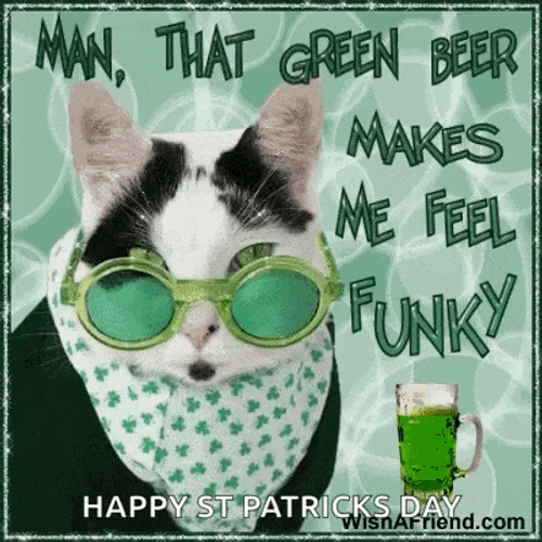 Green Beer Funny Cats GIF