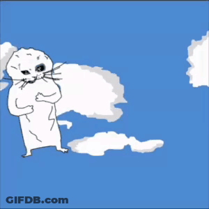 Green Bird And White Animal In Sky GIF