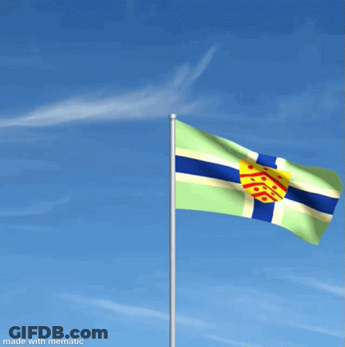 Green Blue Yellow Flag Waving GIF