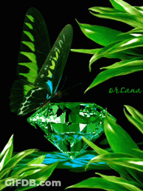 Green Butterfly And Crystal Diamond GIF