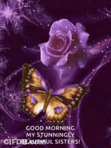Green Butterfly On Purple Rose GIF